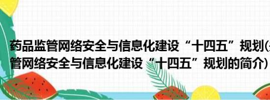 药品监管网络安全与信息化建设“十四五”规划(关于药品监管网络安全与信息化建设“十四五”规划的简介)