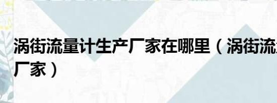 涡街流量计生产厂家在哪里（涡街流量计生产厂家）