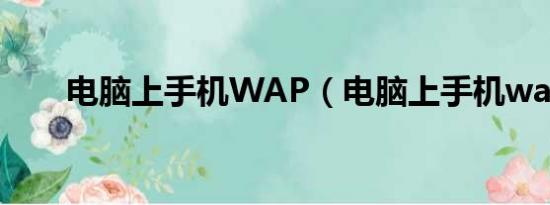 电脑上手机WAP（电脑上手机wap）