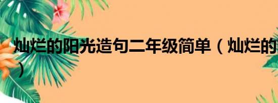 灿烂的阳光造句二年级简单（灿烂的阳光造句）