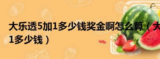 大乐透5加1多少钱奖金啊怎么算（大乐透5加1多少钱）