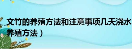 文竹的养殖方法和注意事项几天浇水（文竹的养殖方法）