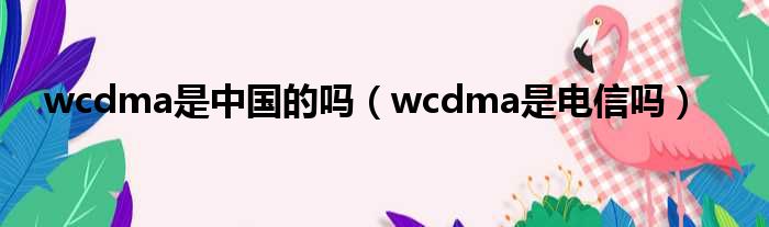 wcdma是中国的吗（wcdma是电信吗）