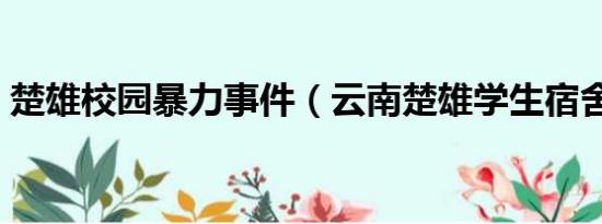 楚雄校园暴力事件（云南楚雄学生宿舍惨案）