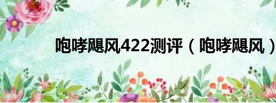 咆哮飓风422测评（咆哮飓风）