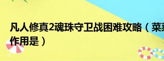 凡人修真2魂珠守卫战困难攻略（菜菜魂珠的作用是）