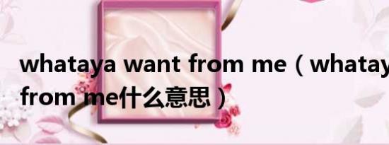 whataya want from me（whataya want from me什么意思）