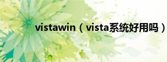 vistawin（vista系统好用吗）