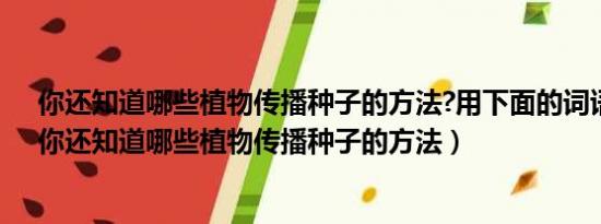 你还知道哪些植物传播种子的方法?用下面的词语写一写（你还知道哪些植物传播种子的方法）