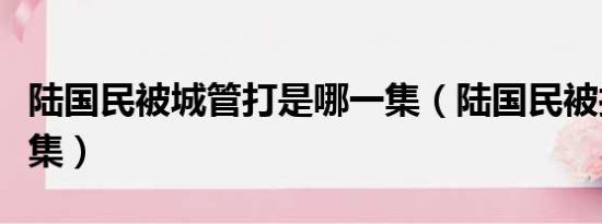 陆国民被城管打是哪一集（陆国民被打是哪一集）