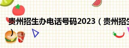 贵州招生办电话号码2023（贵州招生办电话）