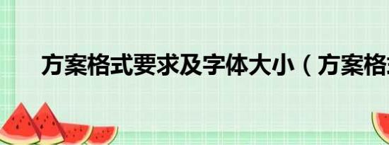 方案格式要求及字体大小（方案格式）