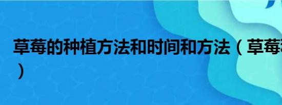 草莓的种植方法和时间和方法（草莓种植方法）