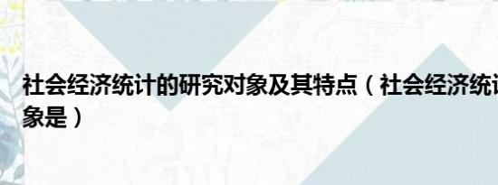 社会经济统计的研究对象及其特点（社会经济统计的研究对象是）