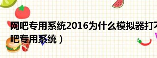 网吧专用系统2016为什么模拟器打不开（网吧专用系统）