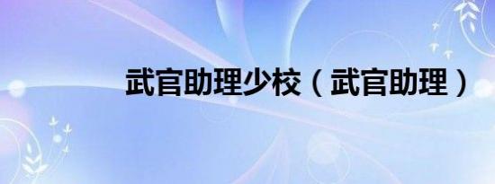 武官助理少校（武官助理）