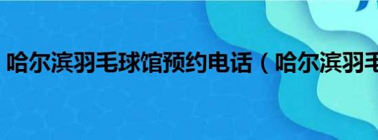 哈尔滨羽毛球馆预约电话（哈尔滨羽毛球馆）