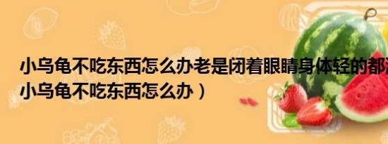 小乌龟不吃东西怎么办老是闭着眼睛身体轻的都浮起来了（小乌龟不吃东西怎么办）