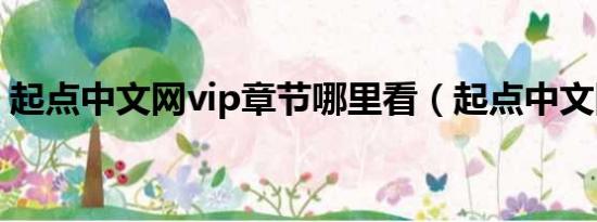 起点中文网vip章节哪里看（起点中文网vip）