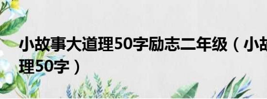 小故事大道理50字励志二年级（小故事大道理50字）