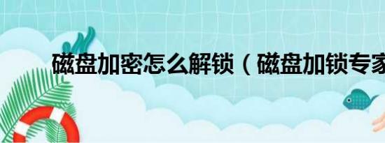 磁盘加密怎么解锁（磁盘加锁专家）