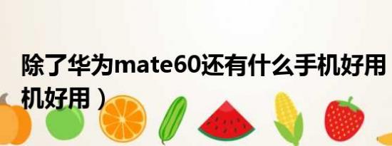 除了华为mate60还有什么手机好用（什么手机好用）