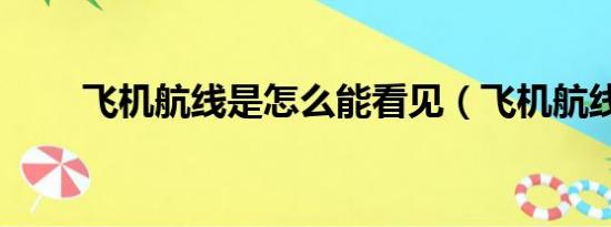 飞机航线是怎么能看见（飞机航线）