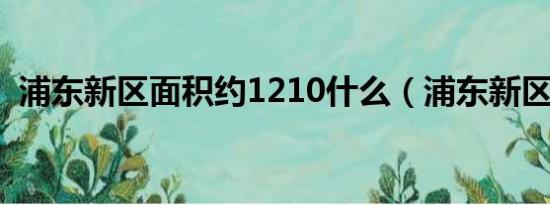 浦东新区面积约1210什么（浦东新区面积）