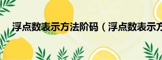 浮点数表示方法阶码（浮点数表示方法）