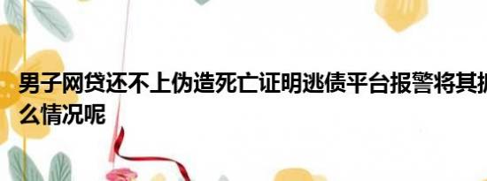 男子网贷还不上伪造死亡证明逃债平台报警将其抓获 具体什么情况呢