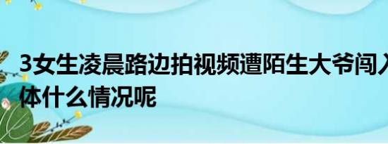 3女生凌晨路边拍视频遭陌生大爷闯入掌掴 具体什么情况呢