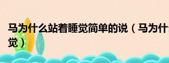 马为什么站着睡觉简单的说（马为什么站着睡觉）