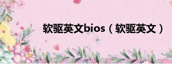 软驱英文bios（软驱英文）