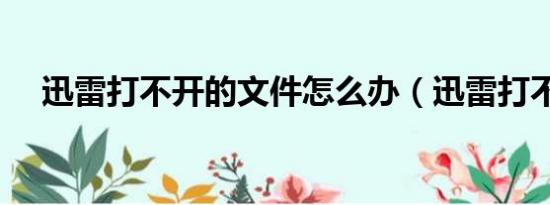 迅雷打不开的文件怎么办（迅雷打不开）