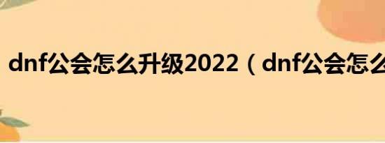 dnf公会怎么升级2022（dnf公会怎么升级）