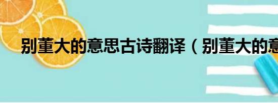 别董大的意思古诗翻译（别董大的意思）