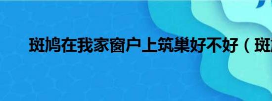 斑鸠在我家窗户上筑巢好不好（斑鸠）