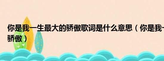 你是我一生最大的骄傲歌词是什么意思（你是我一生最大的骄傲）