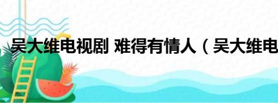 吴大维电视剧 难得有情人（吴大维电视剧）