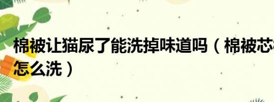 棉被让猫尿了能洗掉味道吗（棉被芯被猫尿了怎么洗）