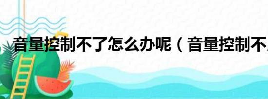 音量控制不了怎么办呢（音量控制不见了）