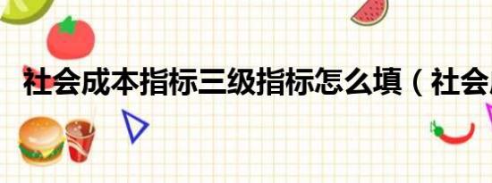 社会成本指标三级指标怎么填（社会成本）