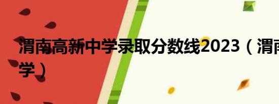 渭南高新中学录取分数线2023（渭南高新中学）