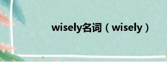 wisely名词（wisely）