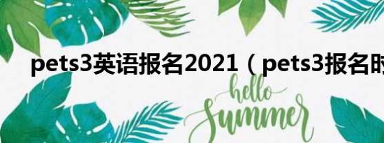 pets3英语报名2021（pets3报名时间）