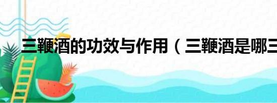 三鞭酒的功效与作用（三鞭酒是哪三鞭）
