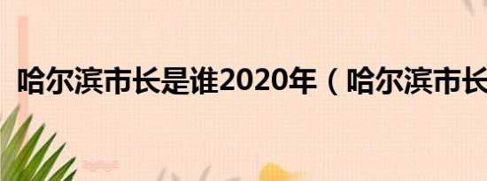 哈尔滨市长是谁2020年（哈尔滨市长是谁）