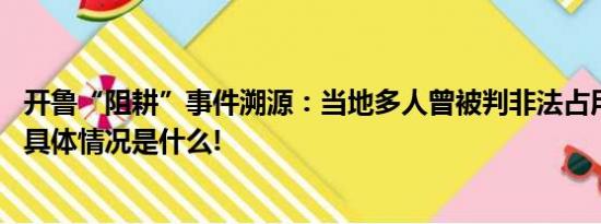 开鲁“阻耕”事件溯源：当地多人曾被判非法占用农用地罪 具体情况是什么!