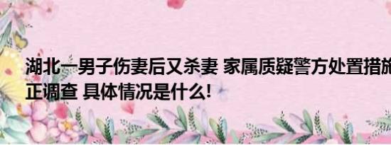 湖北一男子伤妻后又杀妻 家属质疑警方处置措施 检察院：正调查 具体情况是什么!