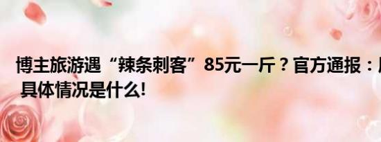 博主旅游遇“辣条刺客”85元一斤？官方通报：属实已整改 具体情况是什么!